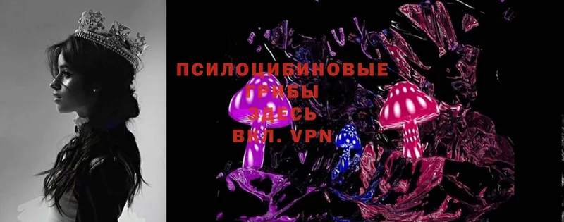 Галлюциногенные грибы Magic Shrooms  Кинешма 